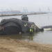 Endangered whale found dead off Virginia was killed in ship collision