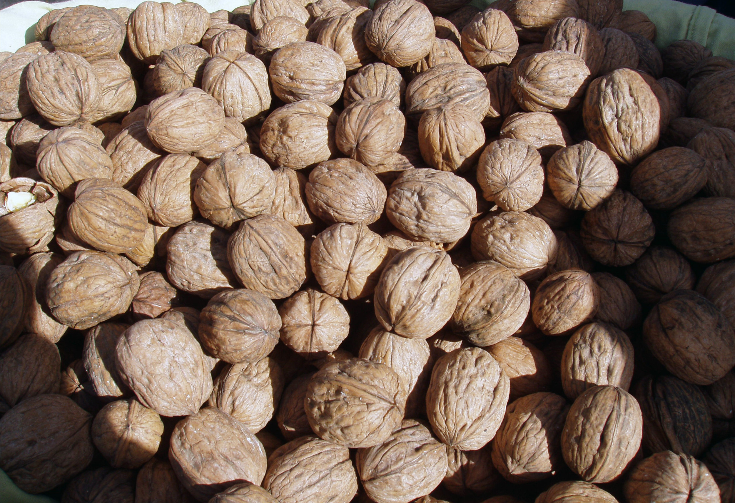 Nut Recall as Urgent E. Coli Warning Issued DNyuz