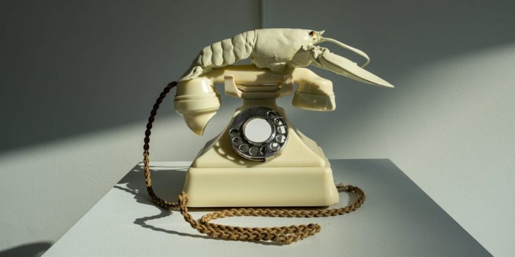 Tired of iPhone? You may want … the lobster phone 📞