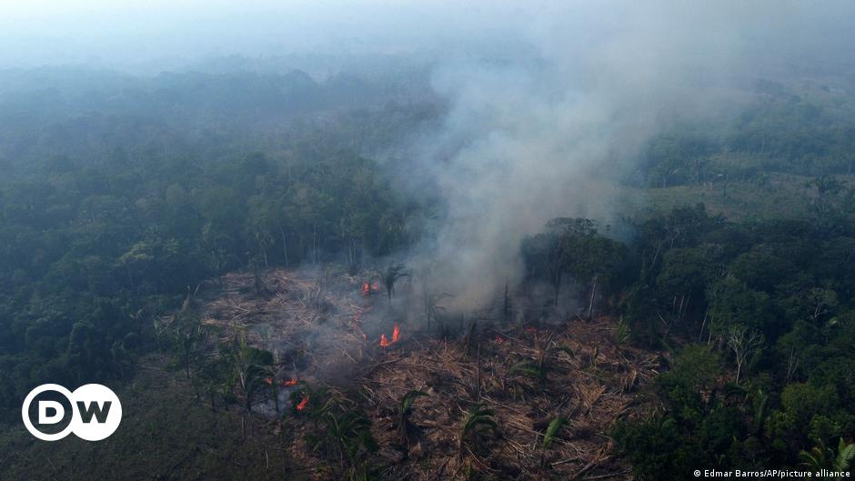 Brazil’s Amazon sees worst 6 months of wildfires in 20 years – DNyuz