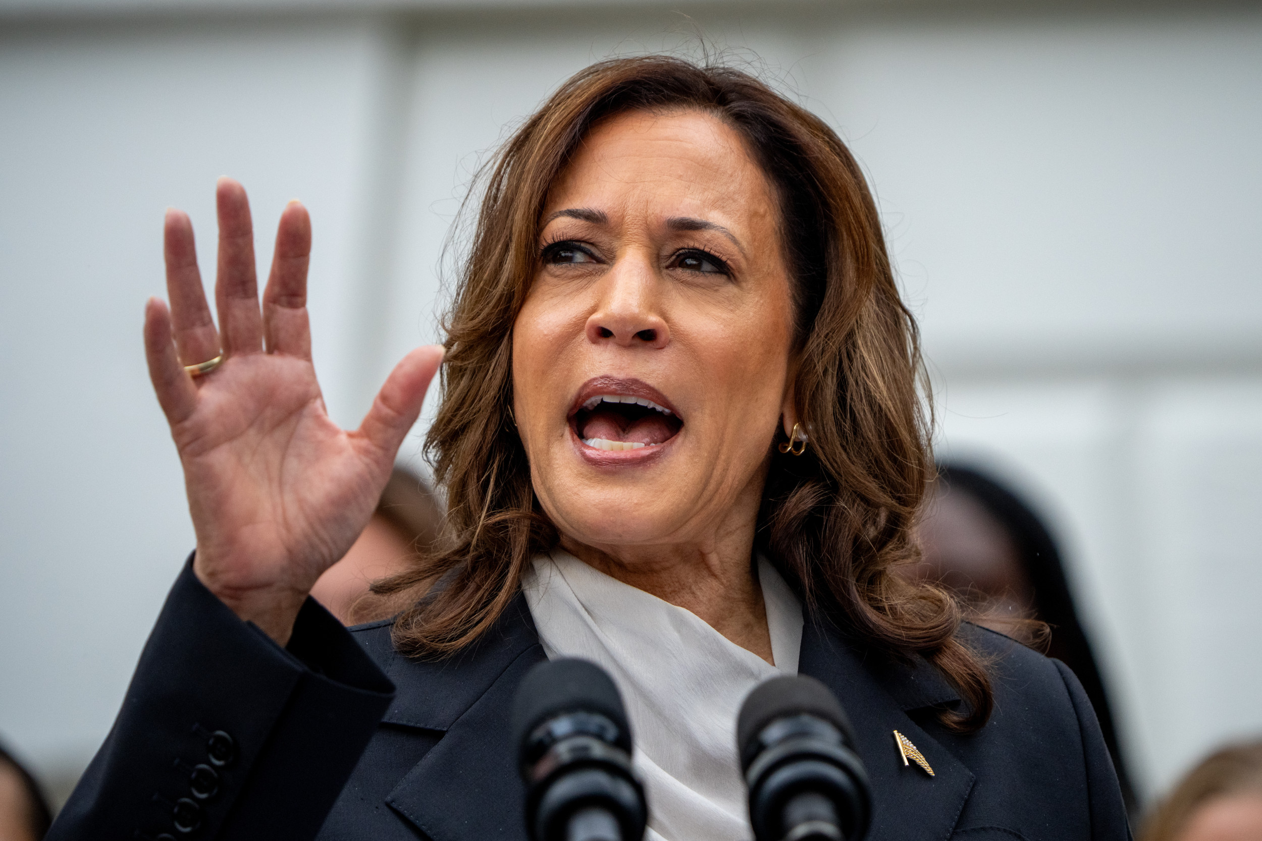 Hillary Clinton Eager for Kamala Harris’ ‘Case’ Against Donald Trump