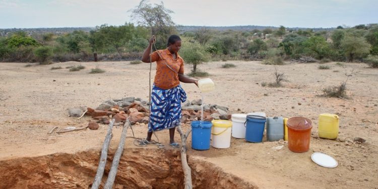 Meals dry up as Zimbabwe’s drought sets in – DNyuz