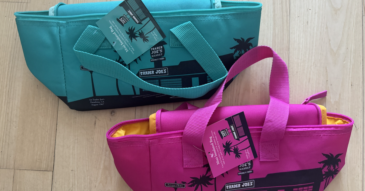 Trader Joe’s viral insulated mini totes are back in stock today DNyuz