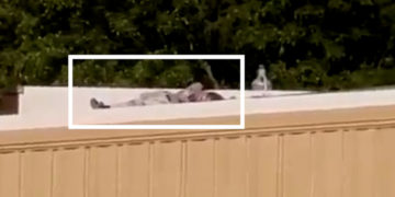 Videos Show Suspect Lying Motionless on Nearby Rooftop After Shooting ...