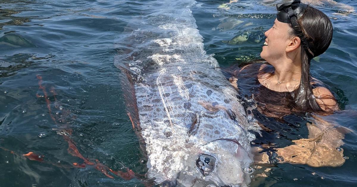 Extremely rare “doomsday fish” found off California coast – DNyuz