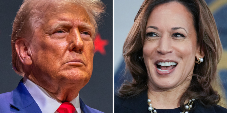 Kamala Harris Ahead of Trump in 5 of 7 Battleground States—Polling ...