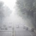 India’s capital New Delhi shuts all primary schools as air quality worsens