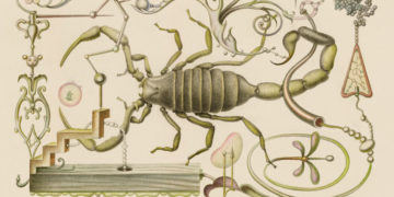 Nature’s ‘Swiss Army Knife’: What Can We Learn From Venom?