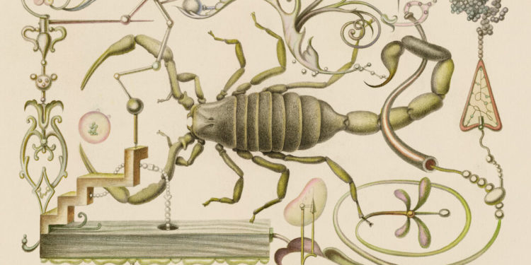 Nature’s ‘Swiss Army Knife’: What Can We Learn From Venom?