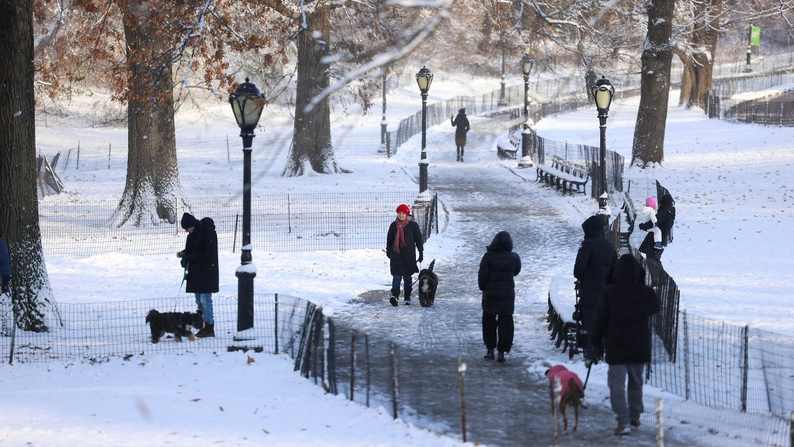 White Christmas forecast Where snow, ice is expected DNyuz