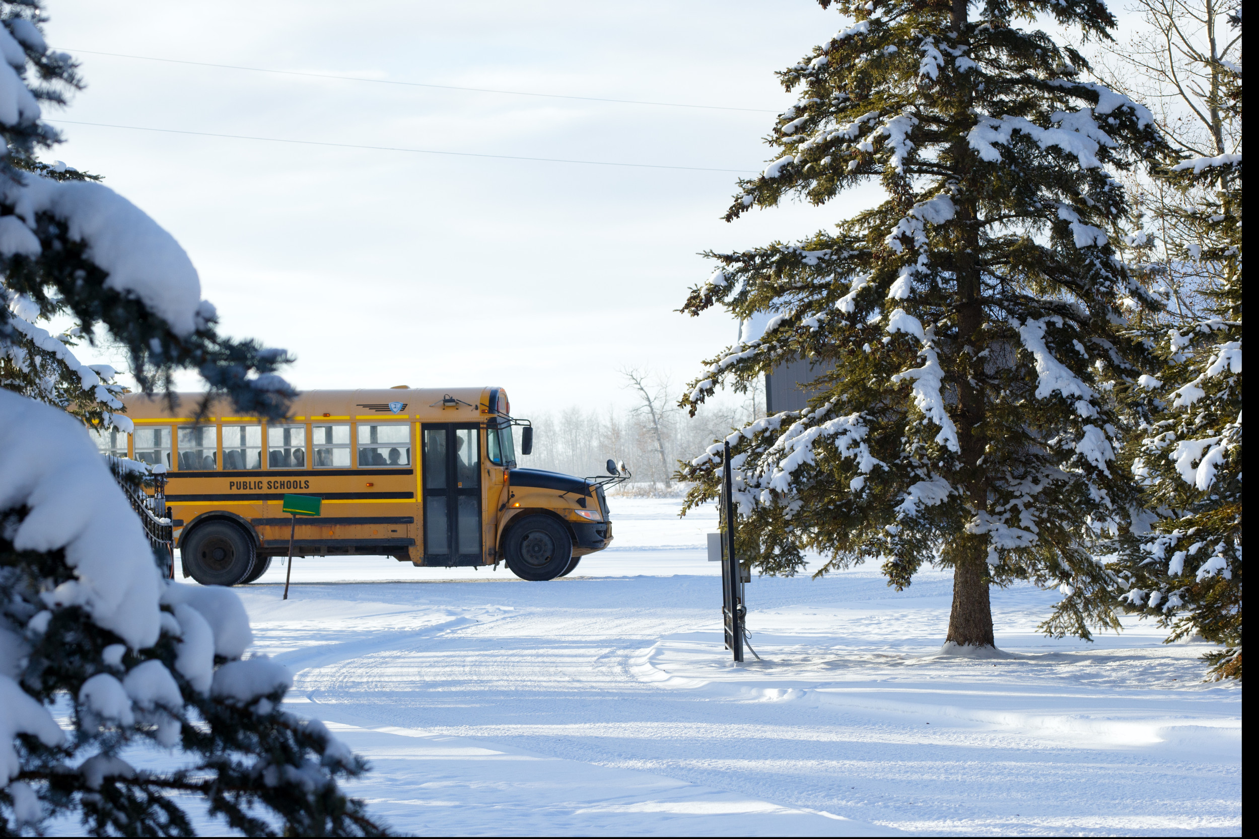 Are Schools Closed Tomorrow? Plans for Snow in 7 States DNyuz