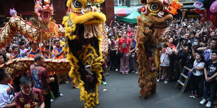 celebration of chinese new year