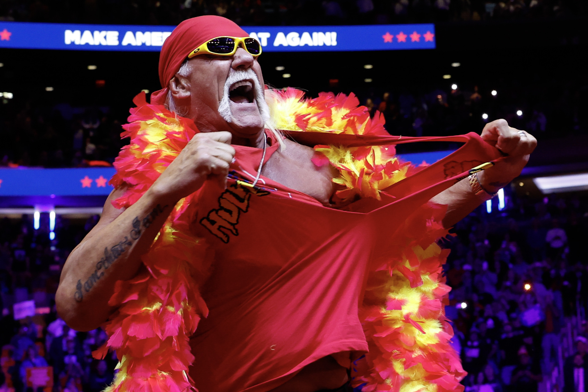 Hulk Hogan Horrendously Booed in WWE Return DNyuz