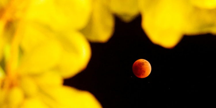 Watch the Moon Blush Blood Red During a Total Lunar Eclipse – DNyuz