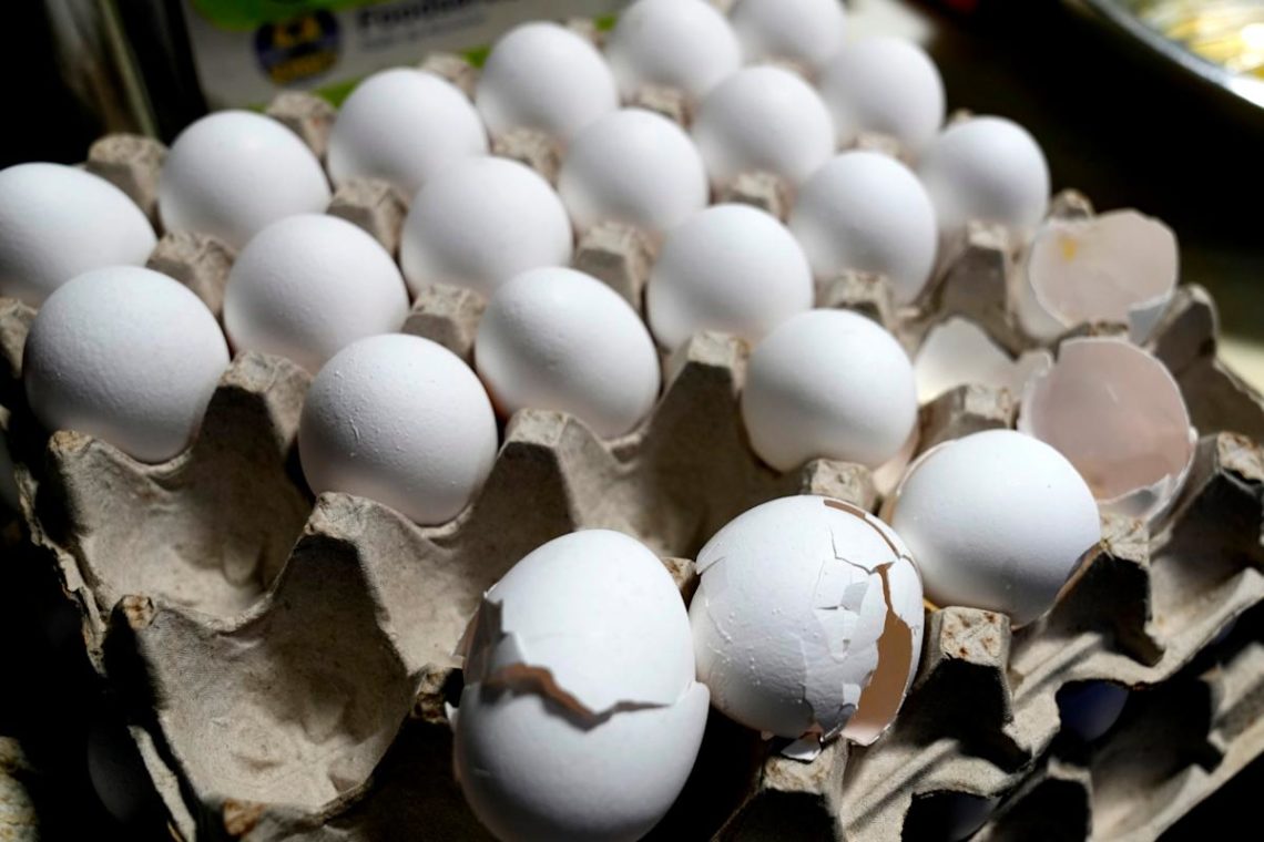 Egg prices increase to record high despite Trump’s predictions and bird flu outbreak slowing