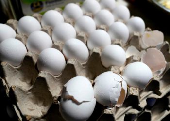Egg prices increase to record high despite Trump’s predictions and bird flu outbreak slowing