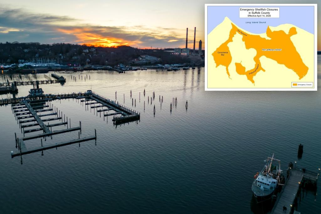 Massive sewage spill leaves Long Island harbor ‘green’ as locals told to stay away
