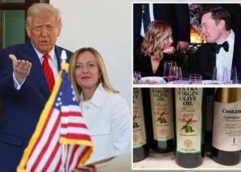 Trump vows ‘there will be a trade deal, 100%’ with Europe as Italy PM Georgia Meloni visits White House