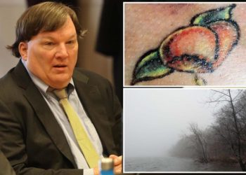 Gilgo Beach homicide victims ‘Peaches’ and her toddler’s identities to be announced: report