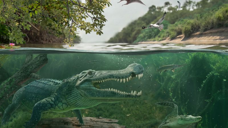 An ancient ‘terror crocodile’ became a dinosaur-eating giant. Scientists say they now know why
