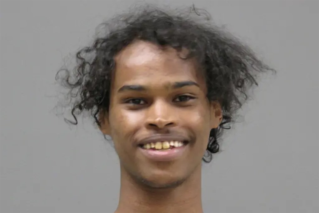 Mohamed Adan Mohamed, 24, was arrested after allegedly plotting to carry out a mass shooting in Minnesota