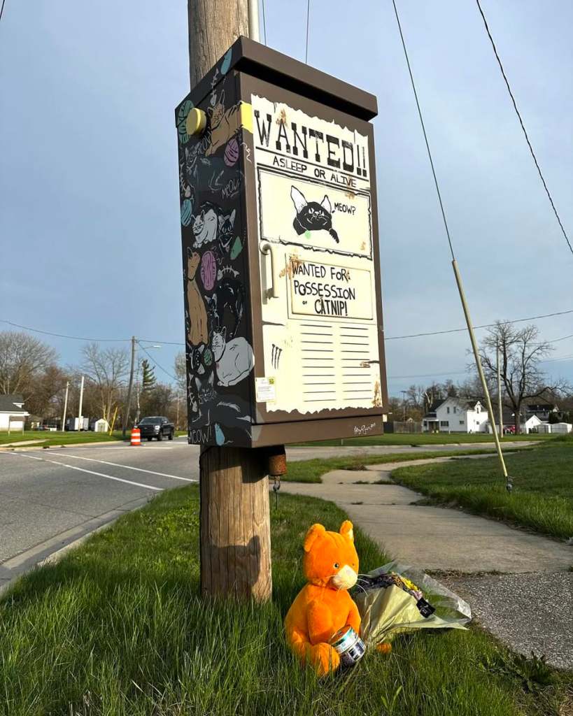 The cat-themed utility box mural painted by Gonzalez in the City of Sagniaw.