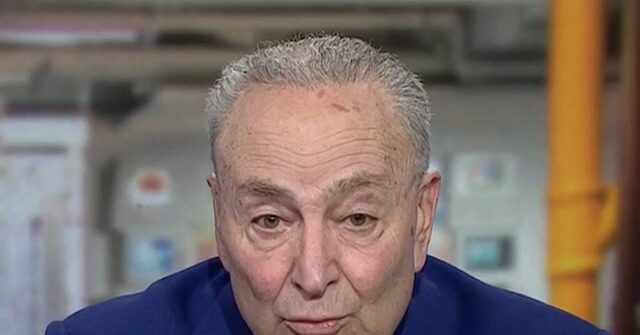 Schumer: If Trump Disobeys Supreme Court Order ‘Extraordinary Action Will Be Necessary’