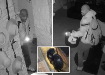Hairy situation: career ‘thief’ steals $30K in wigs from Brooklyn shop that helps cancer patients