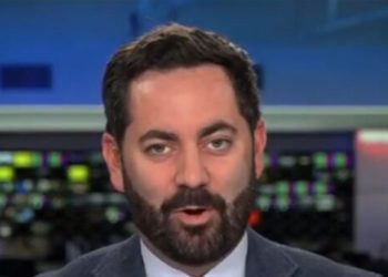 ‘Astroturfing and Gaslighting’: Lawler Blasts Indivisible for Dishonest Protest Movement