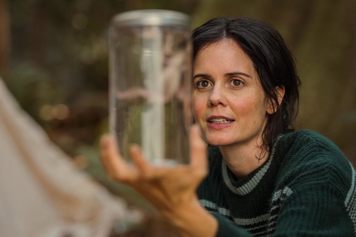 Yahoo entertainment home