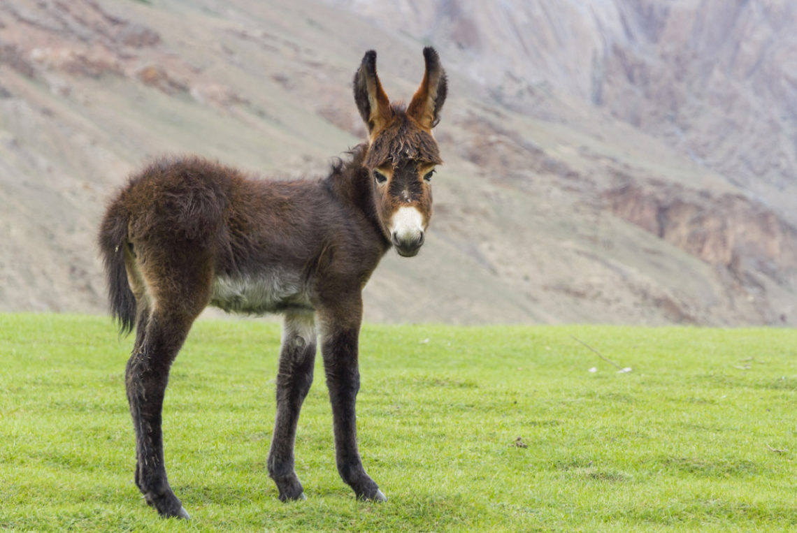 Yahoo lifestyle home