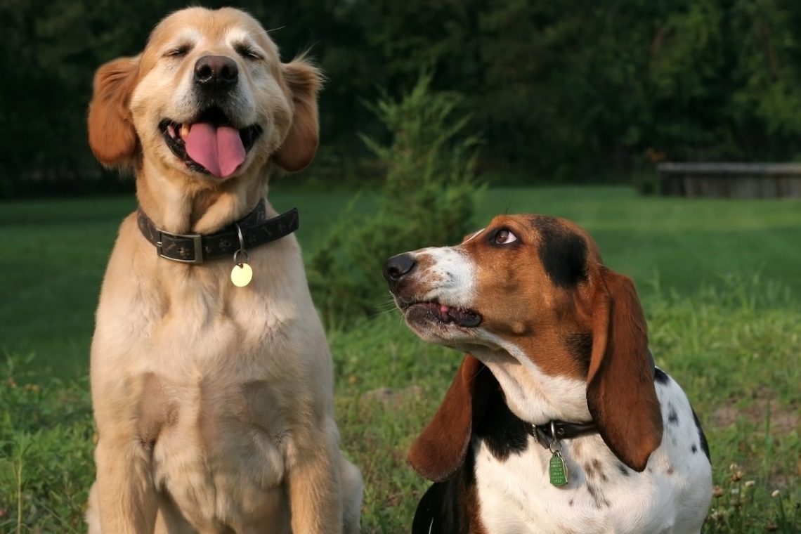 Yahoo lifestyle home