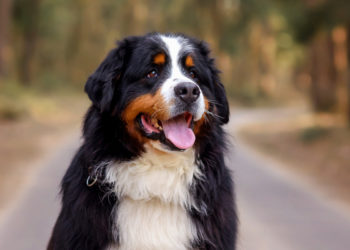 Yahoo lifestyle home