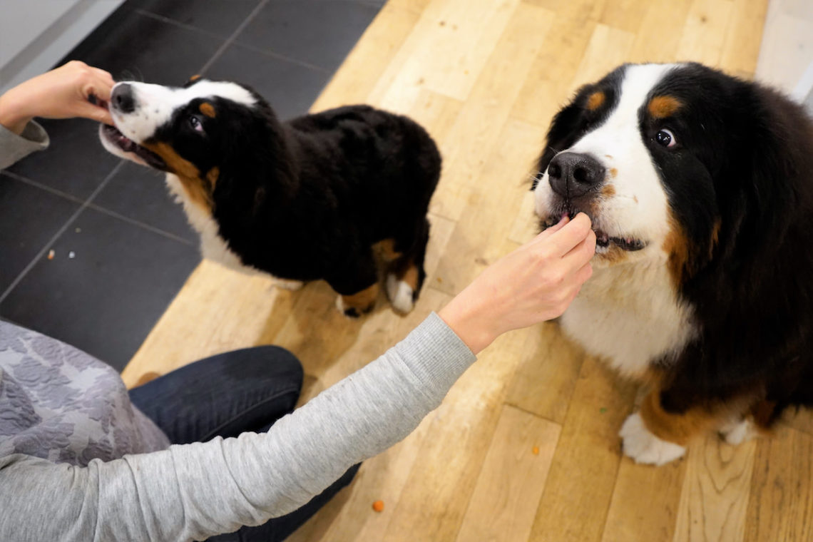 Yahoo lifestyle home