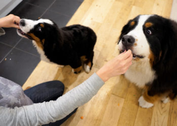 Yahoo lifestyle home