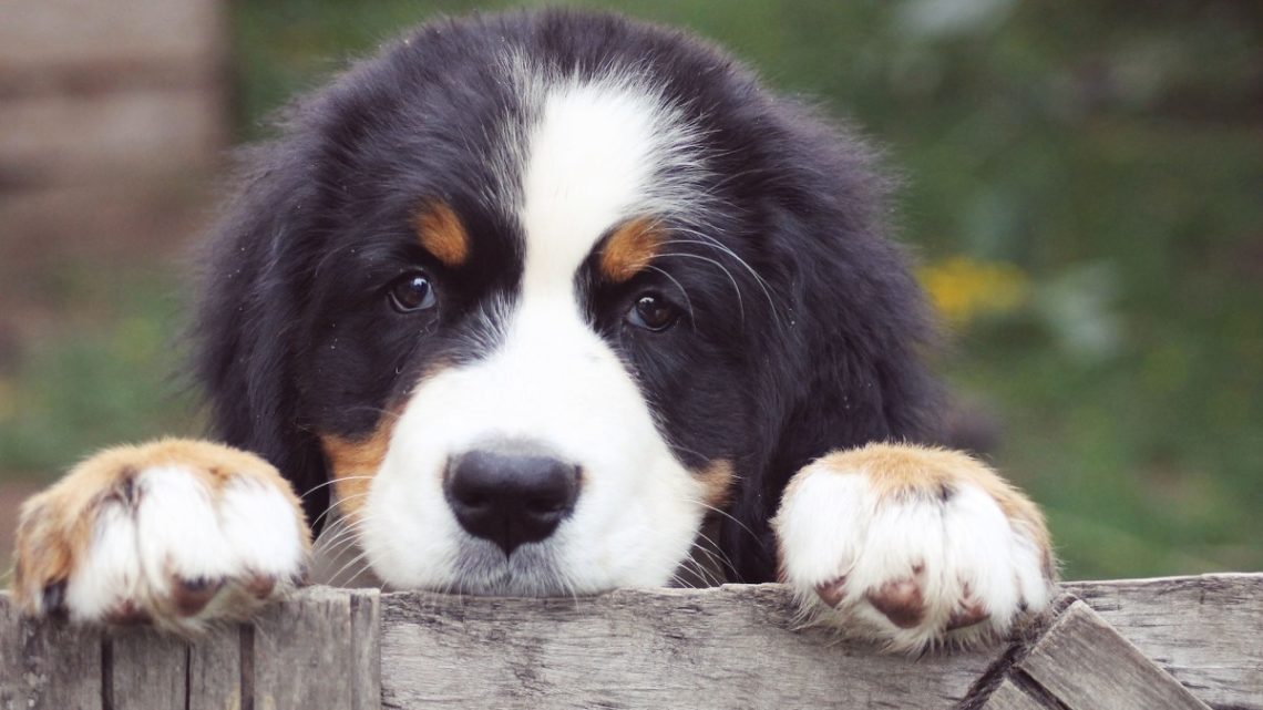 Yahoo lifestyle home