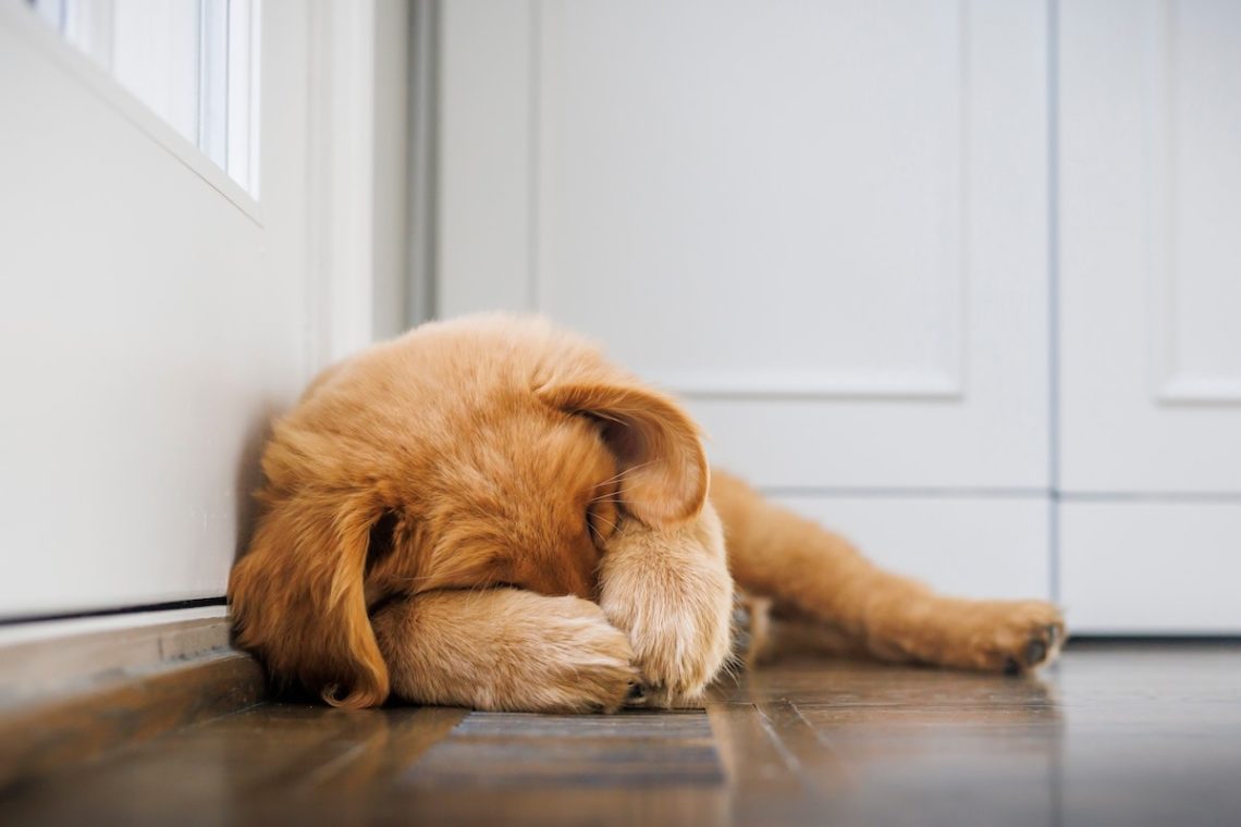 Yahoo lifestyle home