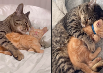 Yahoo lifestyle home