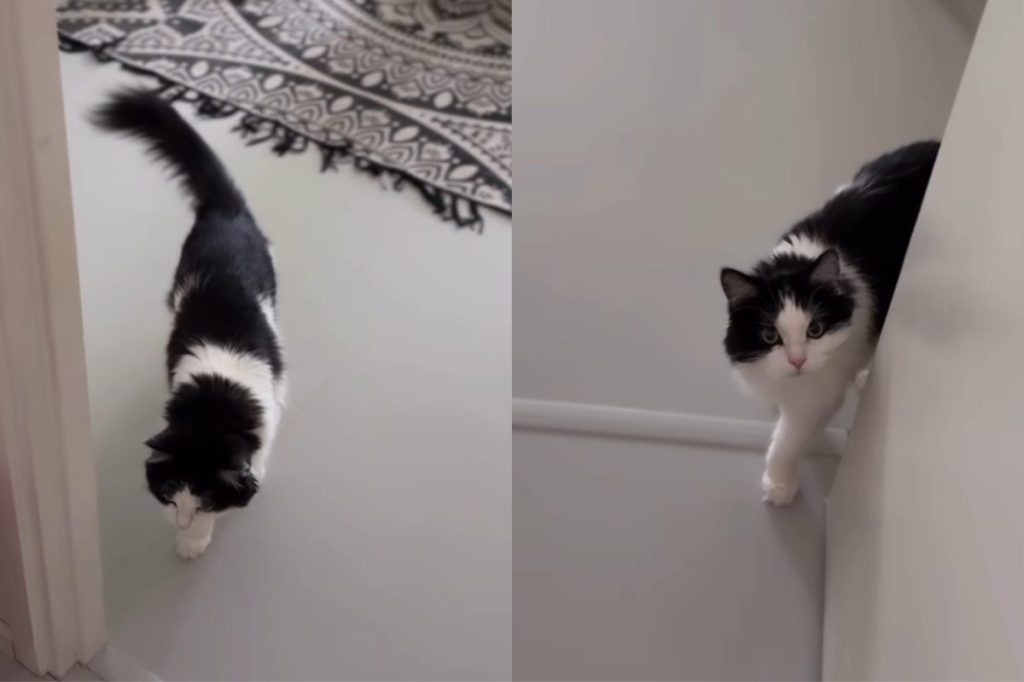 Yahoo lifestyle home