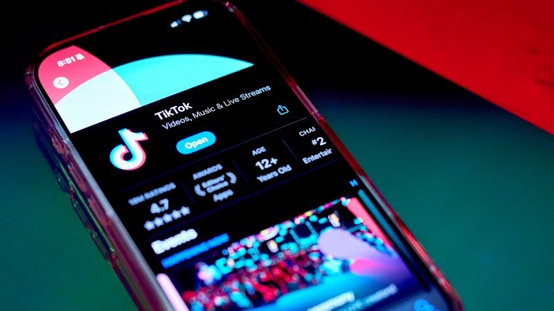 Chinese factories are flooding TikTok with luxury goods. Not so fast, experts say