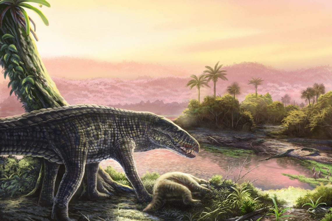Crocodile-Like Top Predator’s Fossils Discovered in Caribbean: ‘Indescribable’