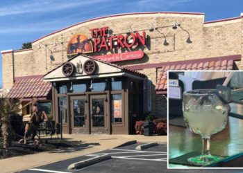 Customer rattled after snake falls from Mexican restaurant ceiling, into margarita during date night