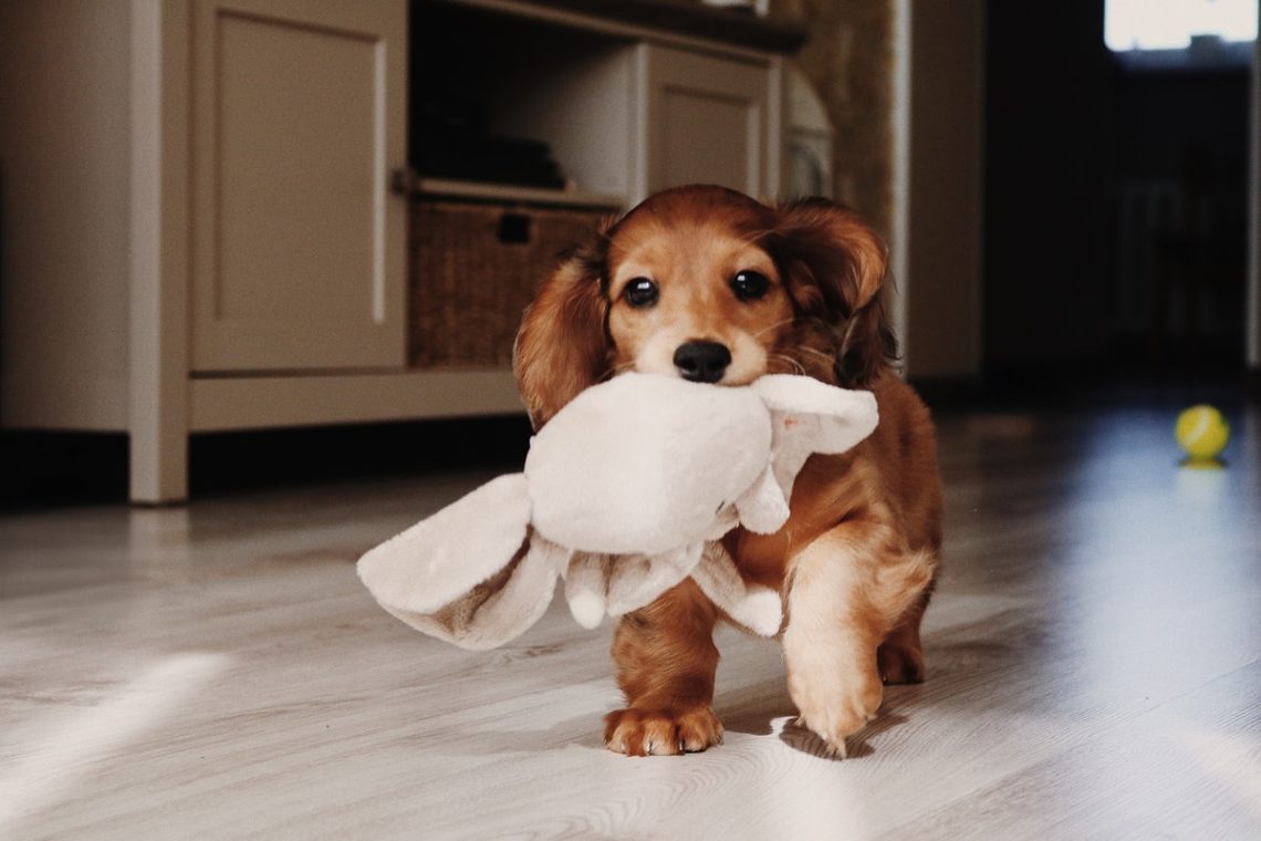 Yahoo lifestyle home