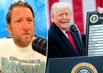 Dave Portnoy claims he lost this insane amount of money due to Trump’s tariffs: ‘That’s the game’