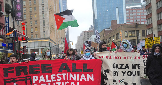 Democrat Lawmakers Visit Mahmoud Khalil, Rumeysa Ozturk in ICE Detention Center