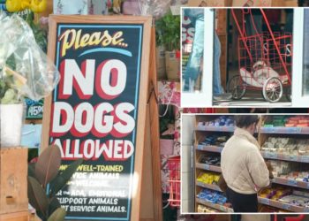 Dogs seen licking food inside NYC Trader Joe’s as carefree owners ignore ‘no pets allowed’ signs – but some pooch lovers don’t mind: ‘It’s cute!’