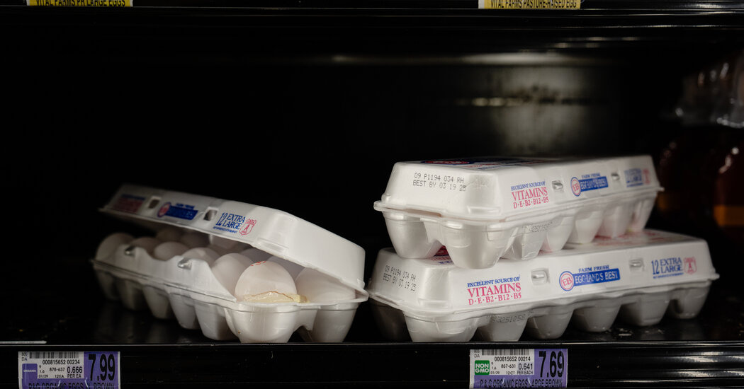 Egg Prices Continued to Rise in March