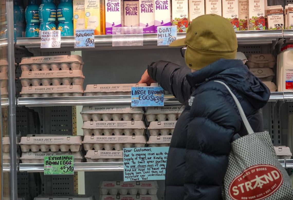 Egg prices soar to record high as DOJ investigates America’s largest egg producer