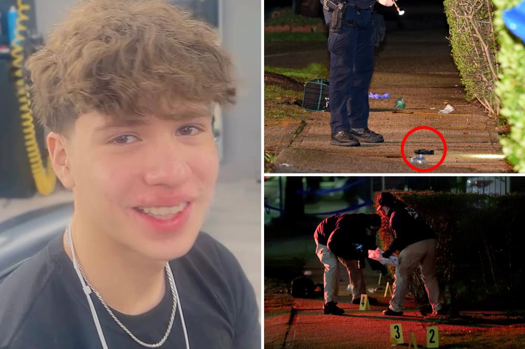 First pics of teen shot dead in NYC love triangle murder-suicide revealed