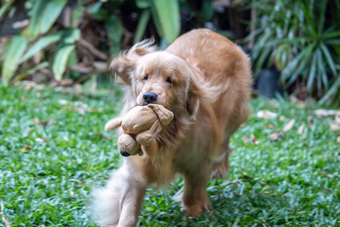 Yahoo lifestyle home